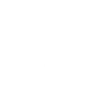 WitekioWhiteLogo